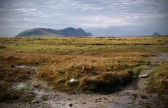 Herbstsonne am Waymont, Dingle Peninsula