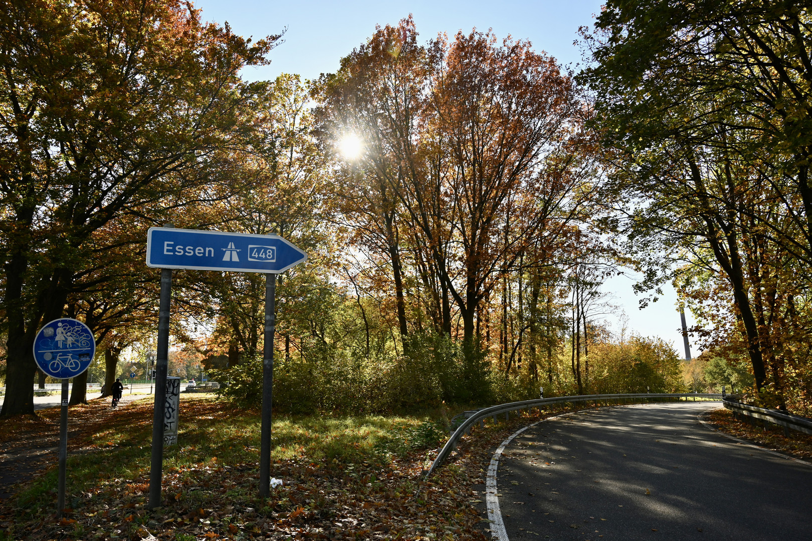 Herbstsonne an der Autobahn