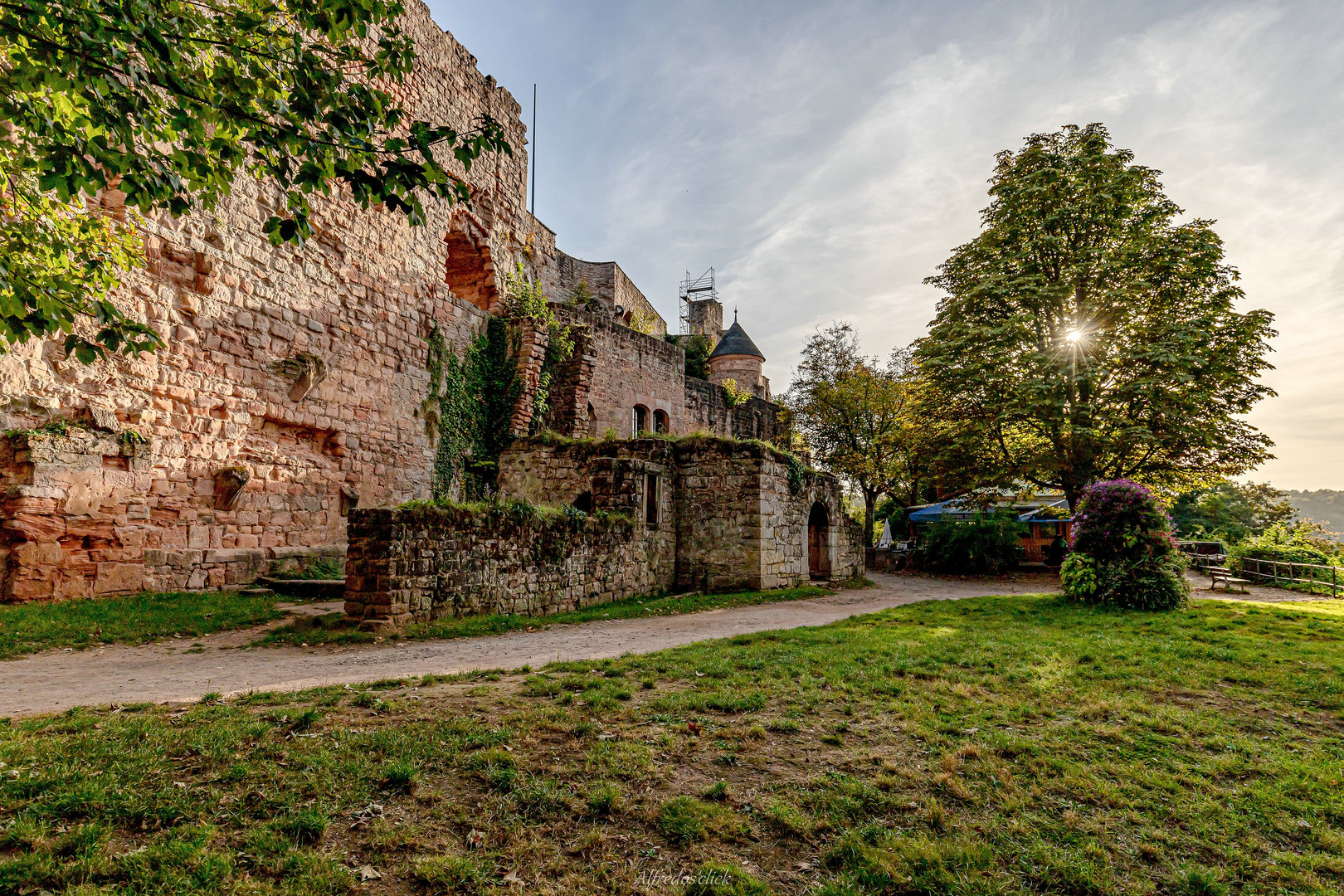 Herbstsonne an der Burg Nannstein bei Landstuhl