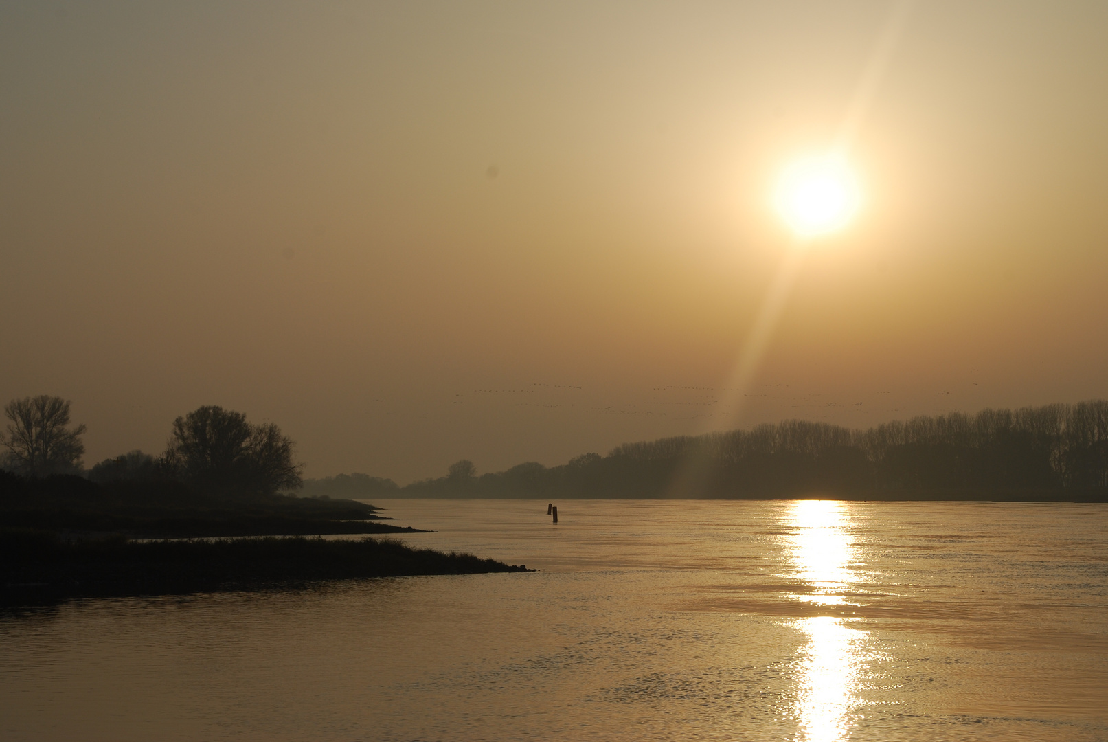 Herbstsonne an der Elbe