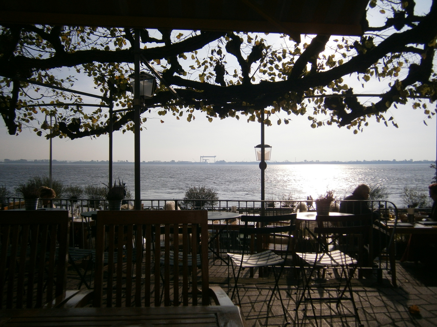 Herbstsonne an der Elbe