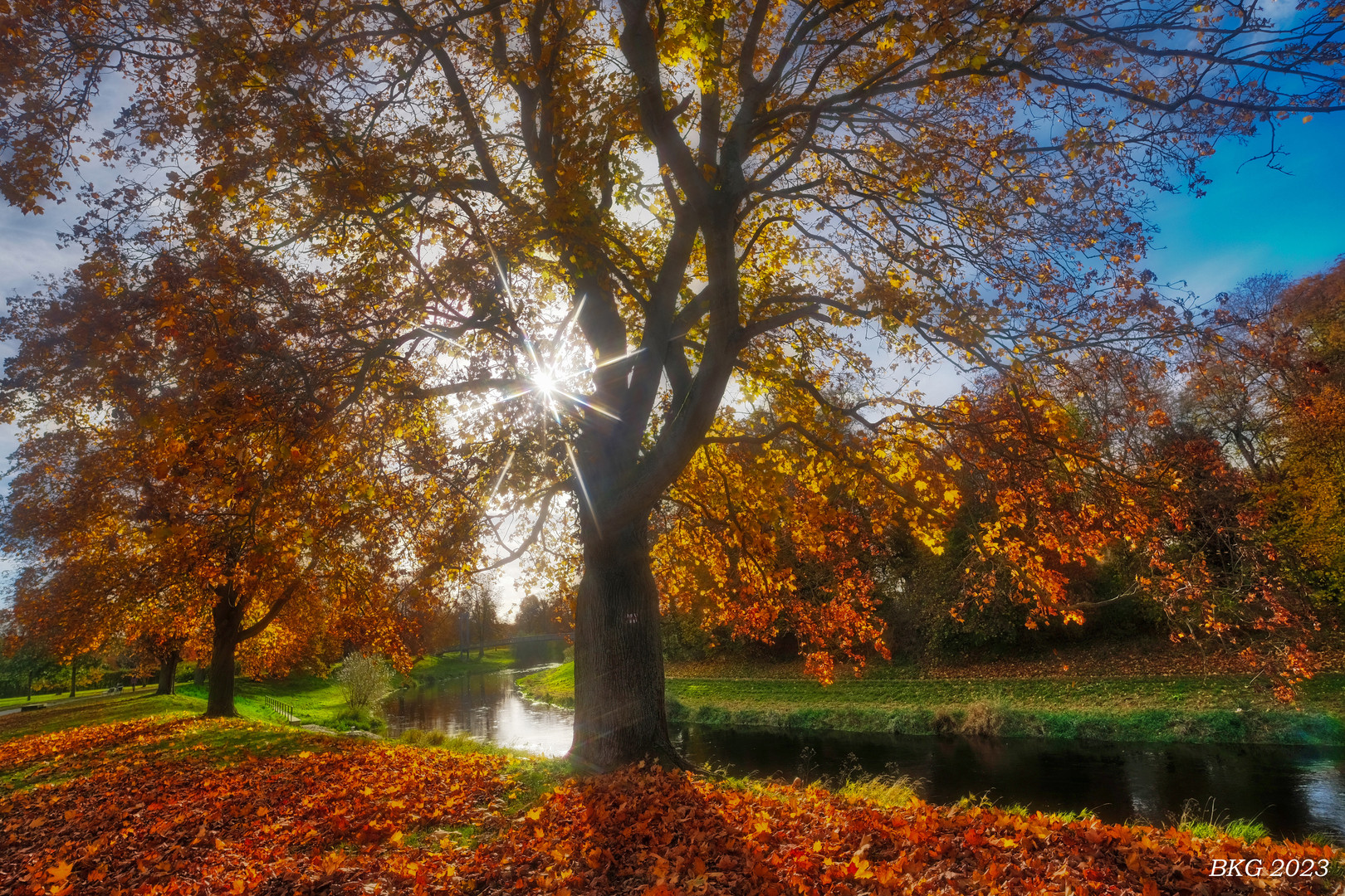 Herbstsonne an der Elster 