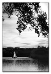 Herbstsonne auf dem Baldeneysee