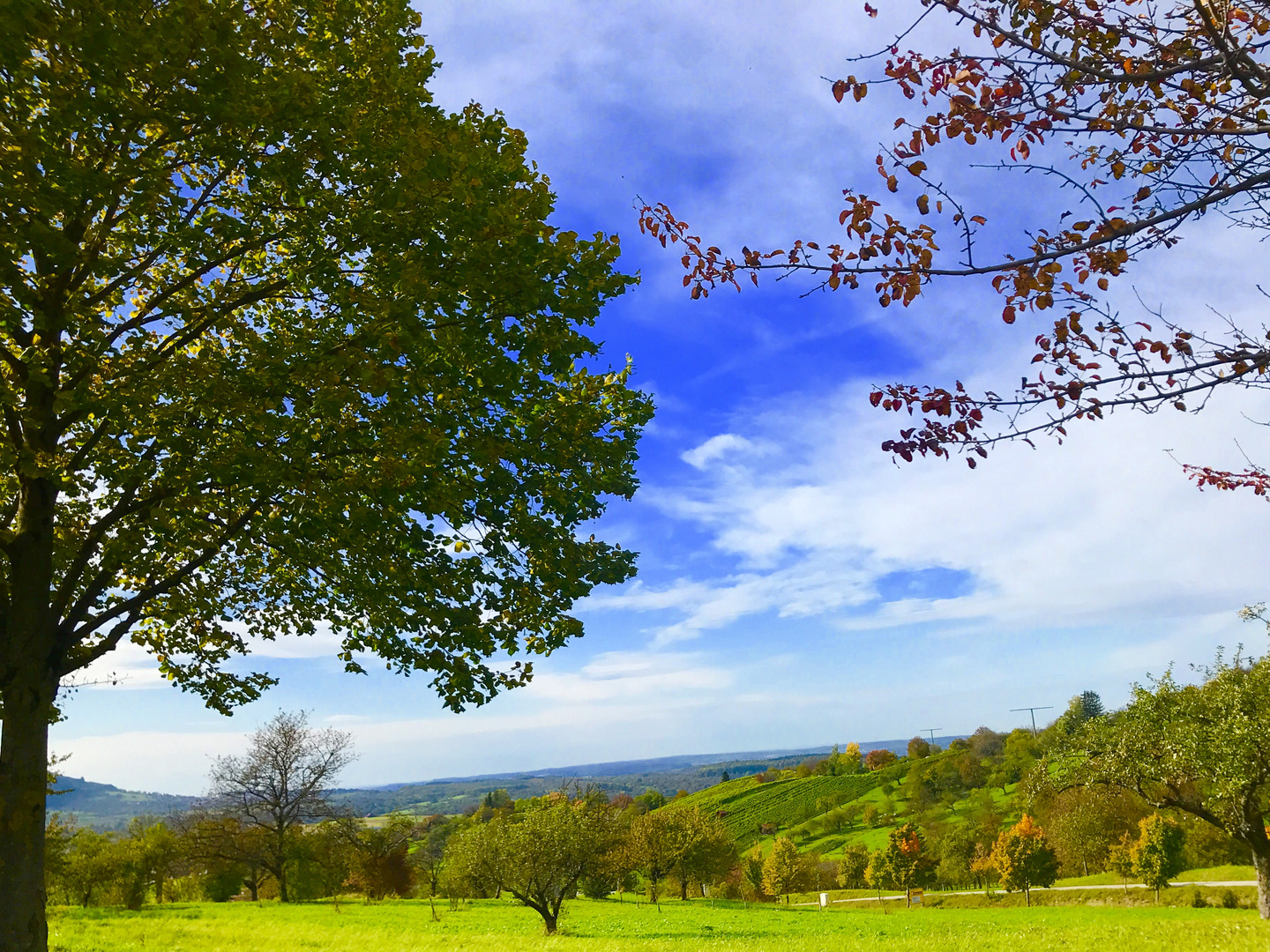 Herbstsonne auf der schwäbischen Alb