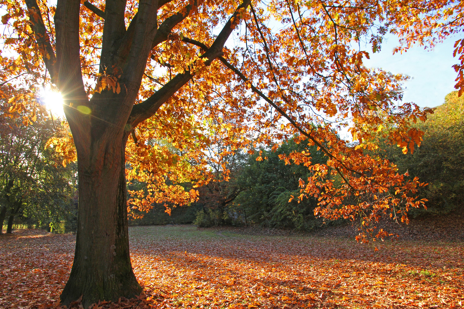 Herbstsonne