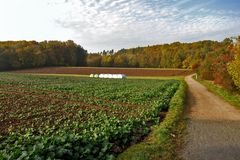 Herbstsonne