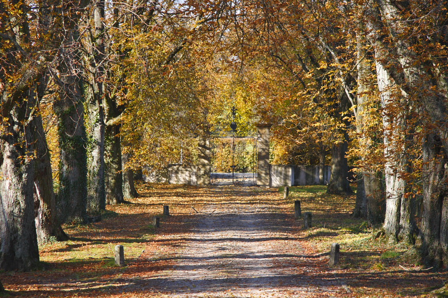 Herbstsonne