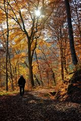 Herbstsonne