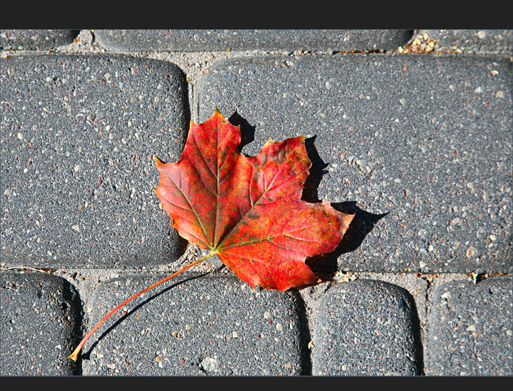 Herbstsonne