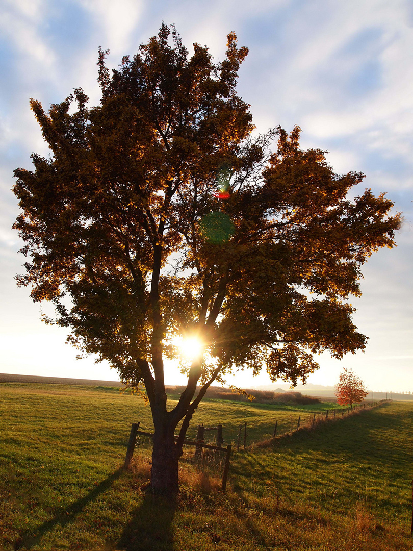 Herbstsonne