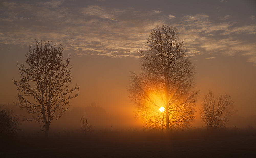 Herbstsonne