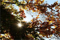 Herbstsonne