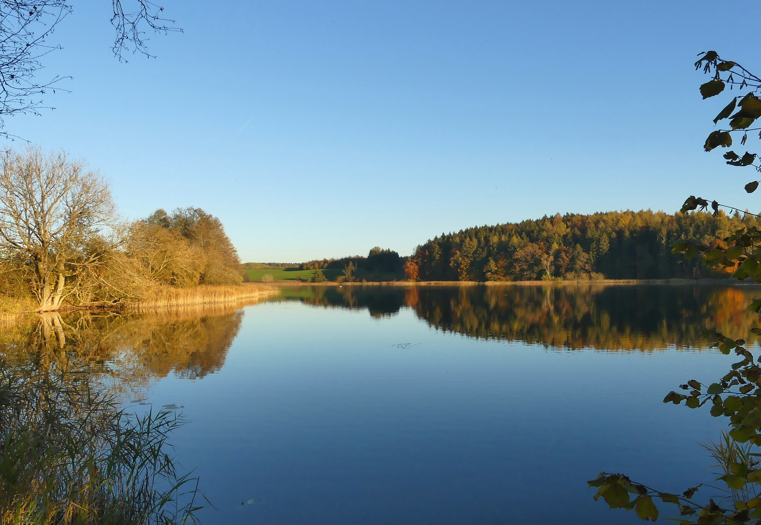 Herbstsonne