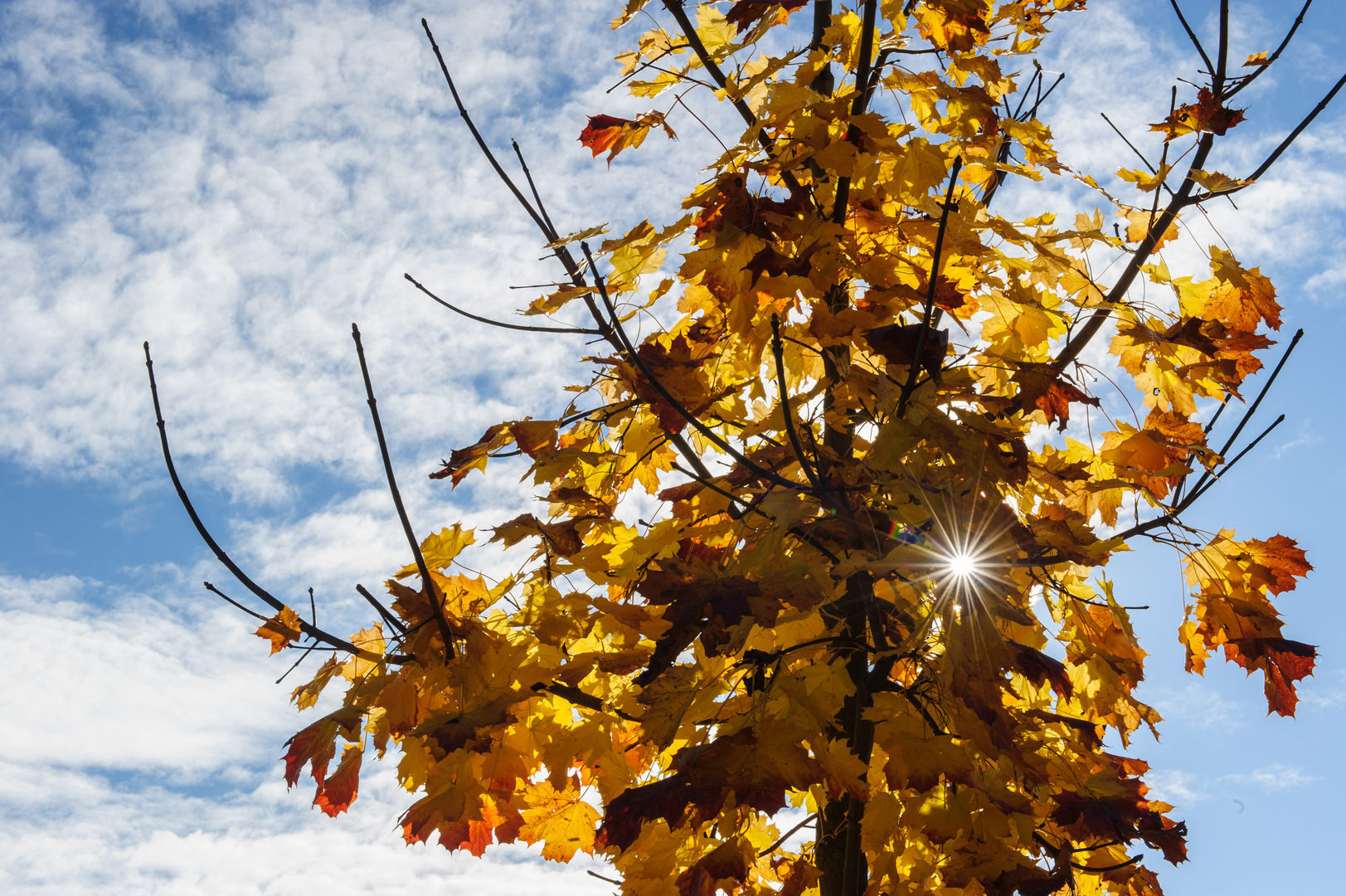 Herbstsonne