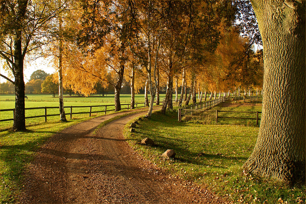 Herbstsonne