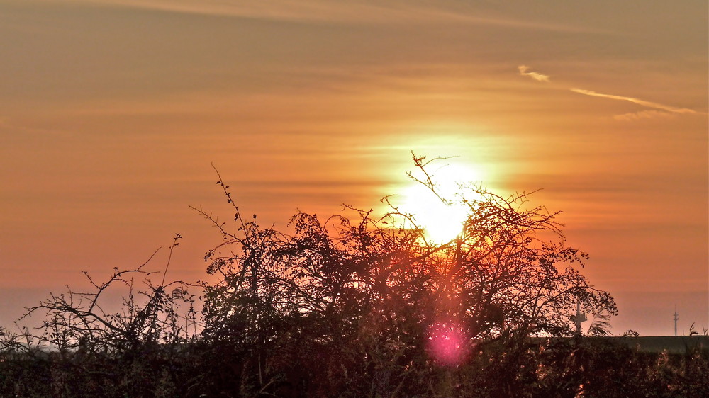 Herbstsonne