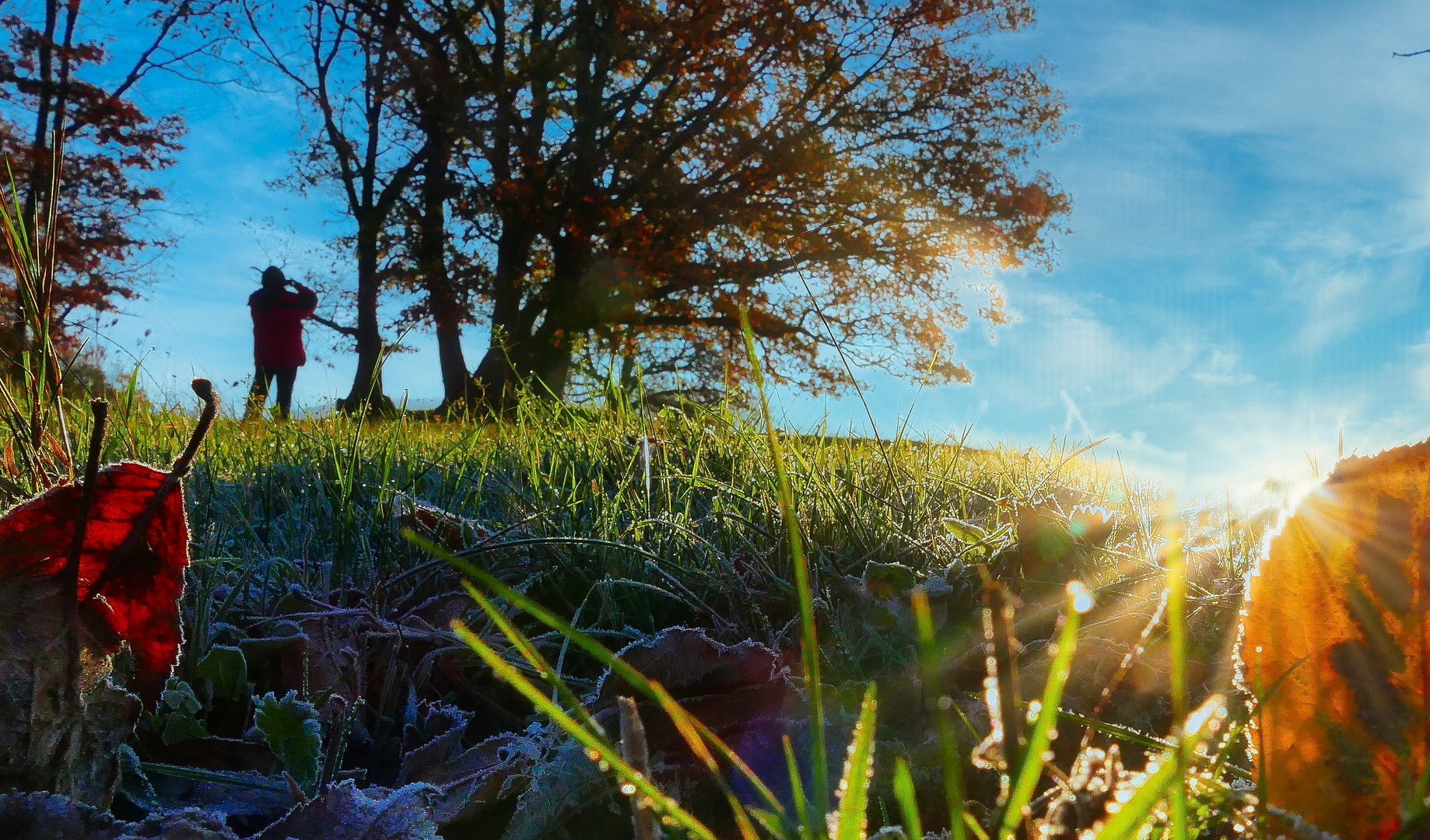 Herbstsonne 