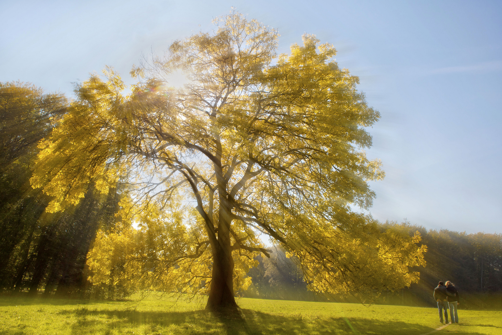 Herbstsonne