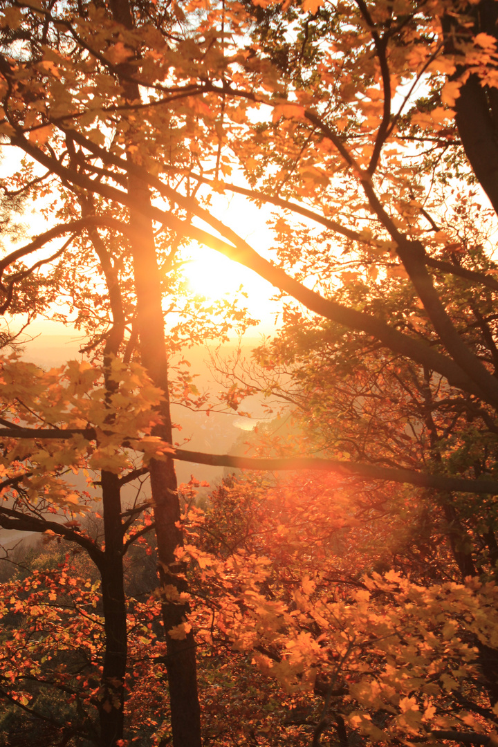 Herbstsonne