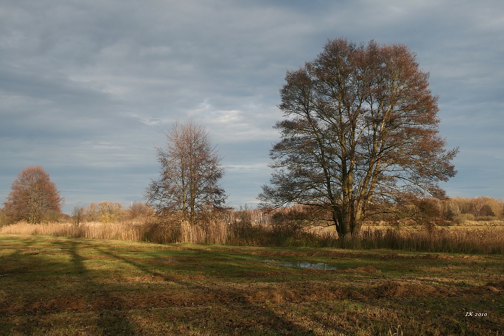 Herbstsonne