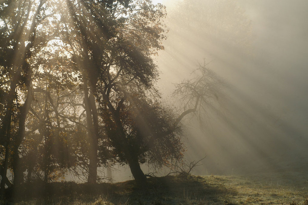 Herbstsonne