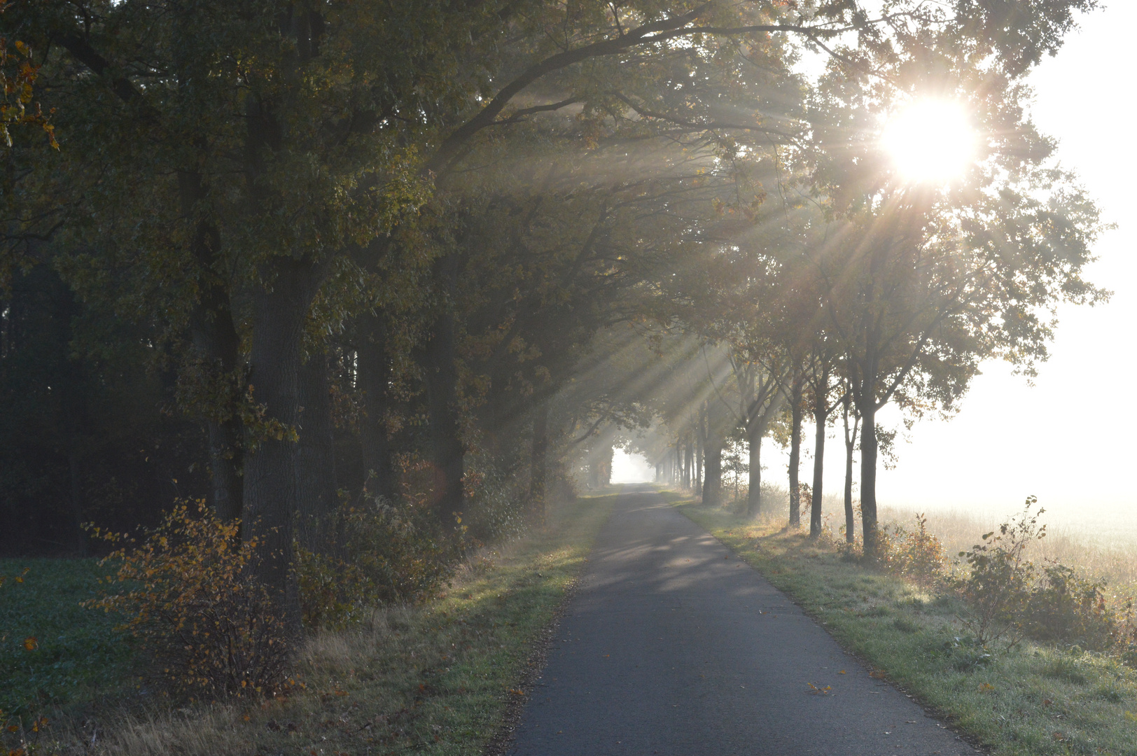 Herbstsonne