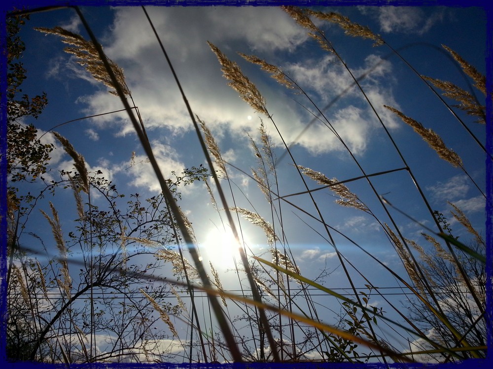 Herbst(Sonne)