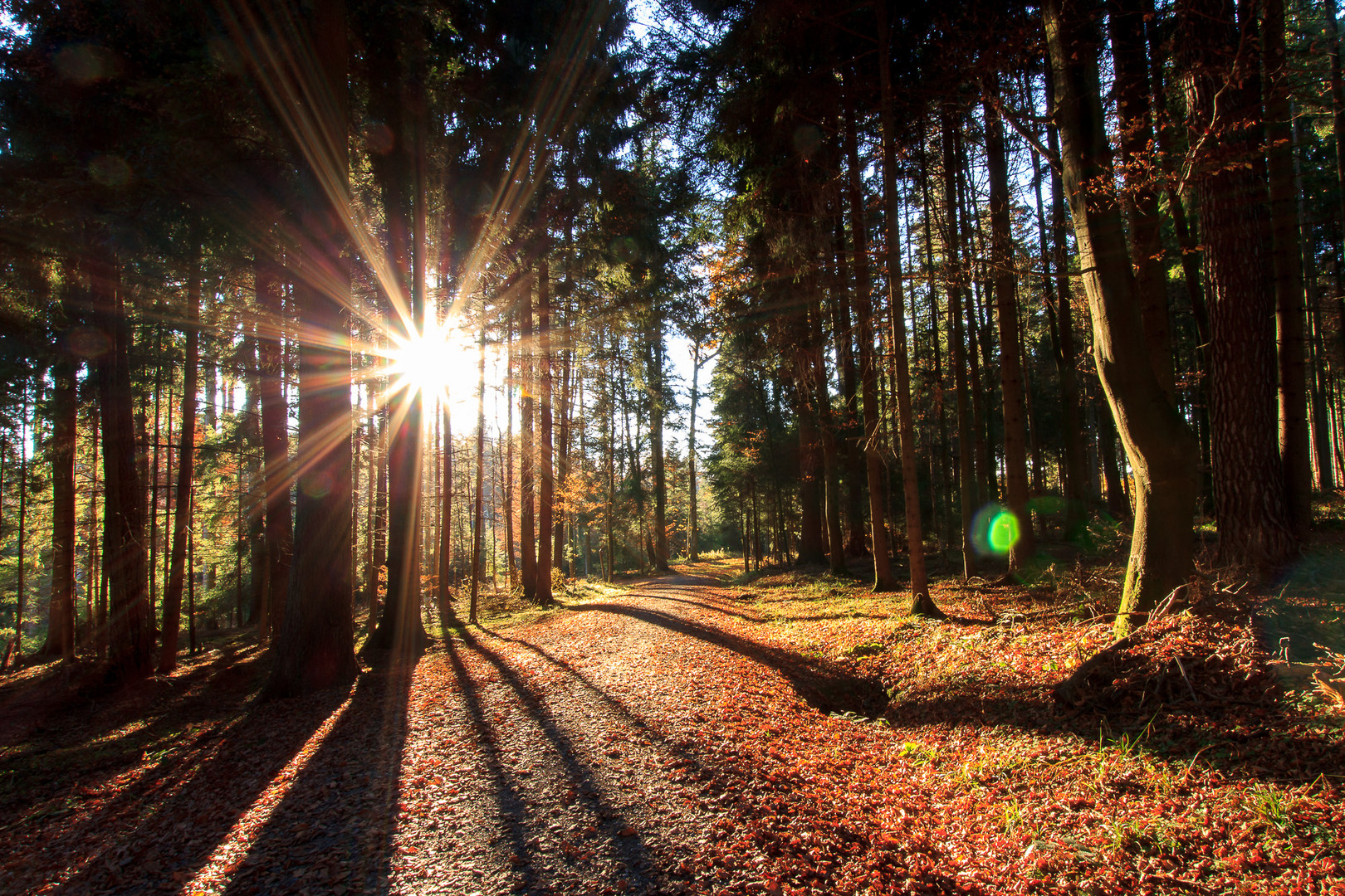 Herbstsonne