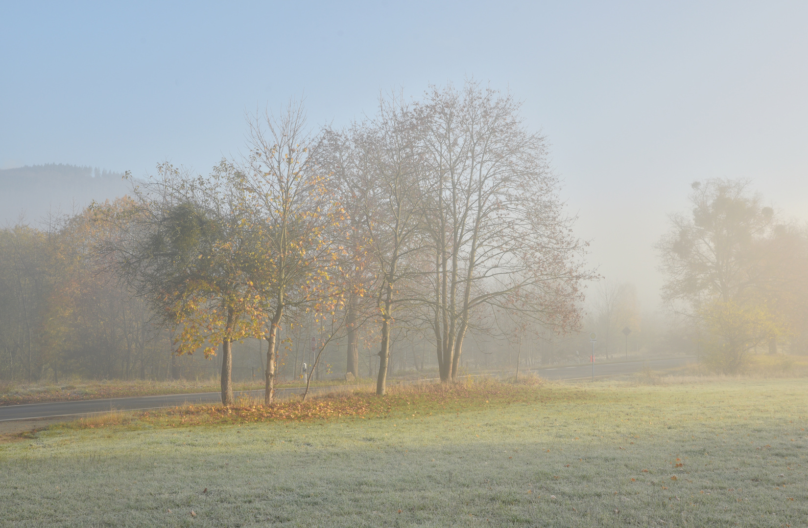 Herbstsonne