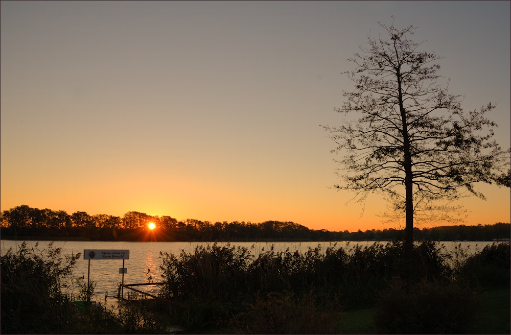 Herbstsonne ...