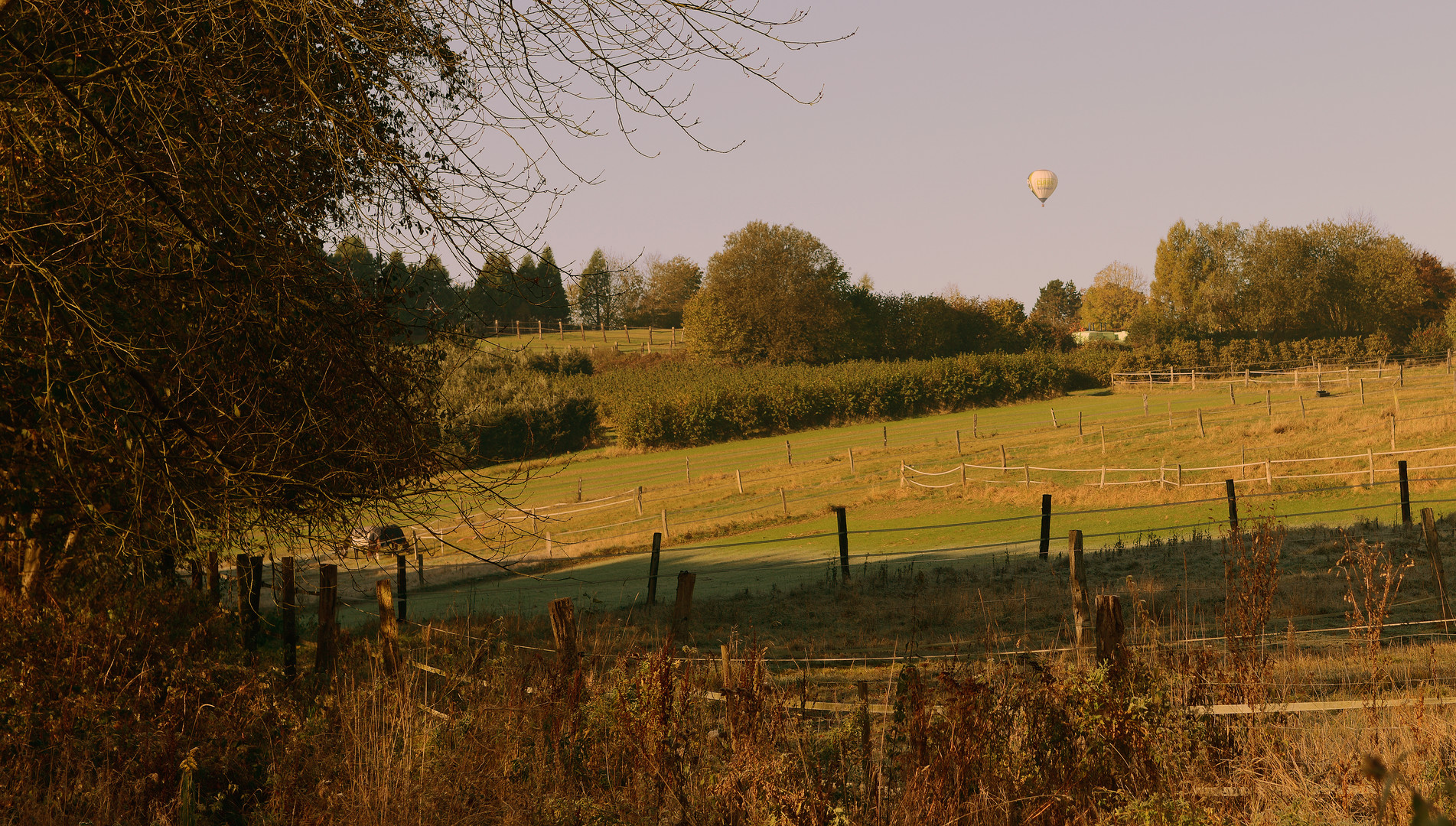 Herbstsonne