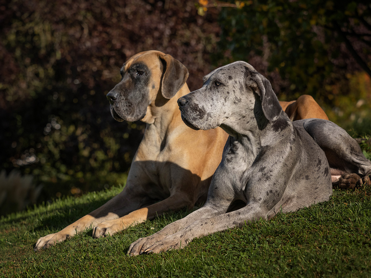 Herbstsonne genießen