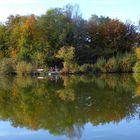 Herbstsonne genießen...