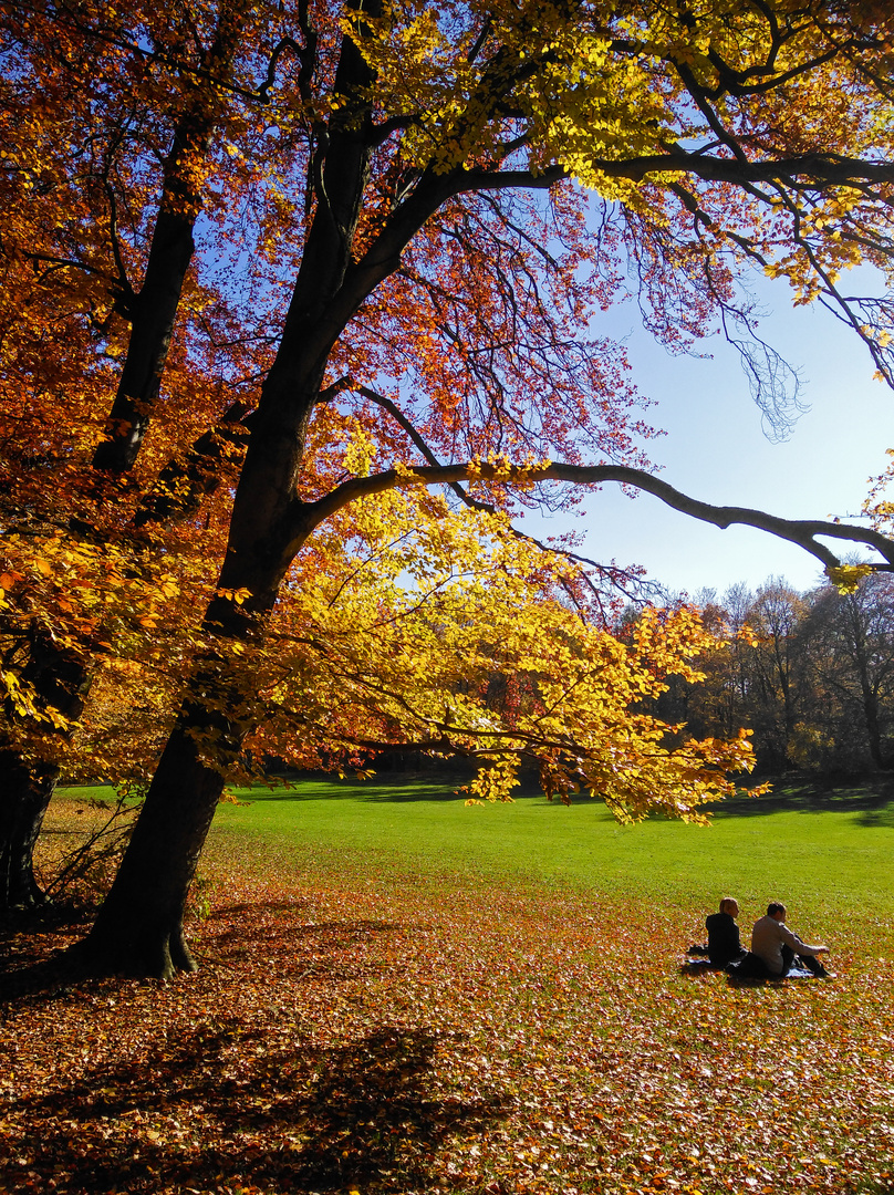 Herbstsonne-Genießer