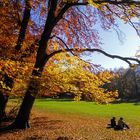 Herbstsonne-Genießer