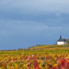 Herbstsonne, Herbstlaub, Weinberge 