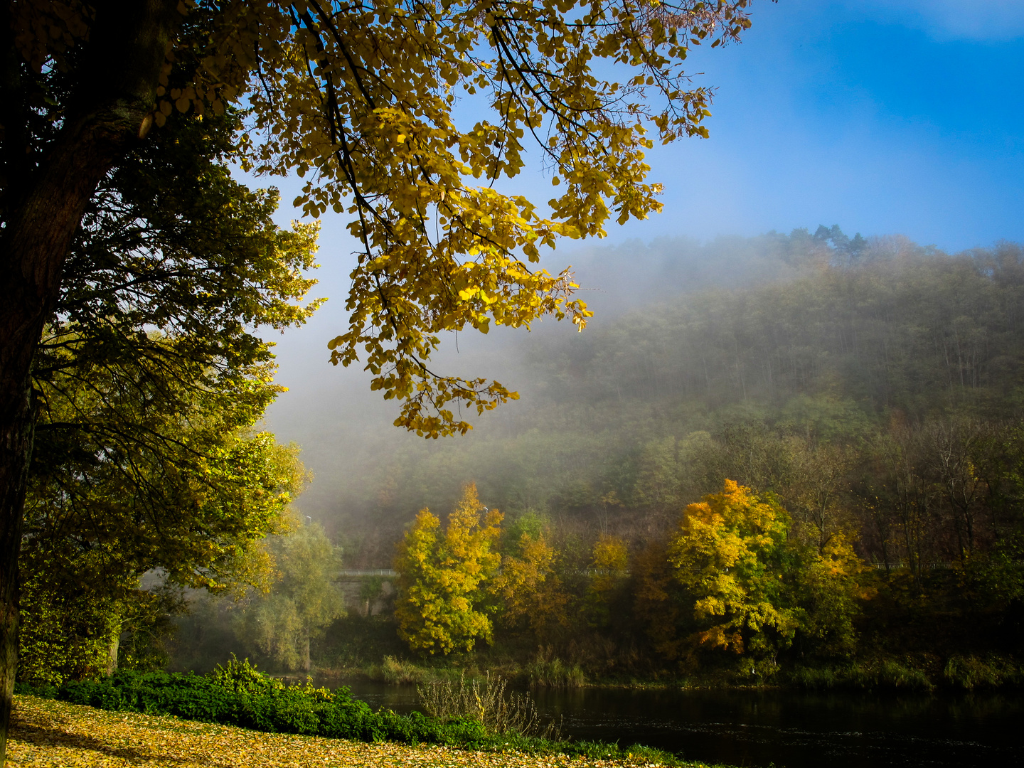 Herbstsonne II