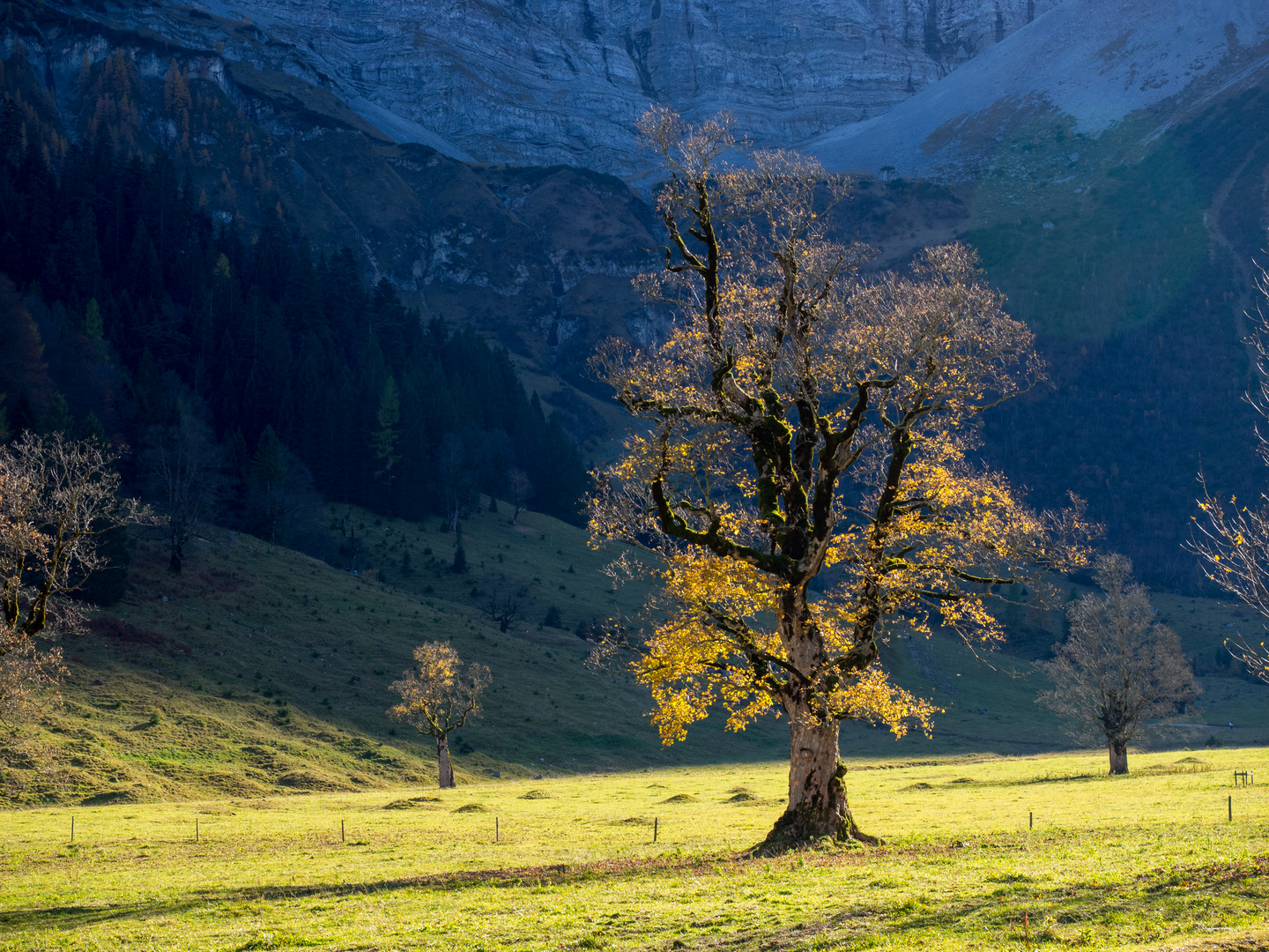 Herbstsonne im Ahornboden 1