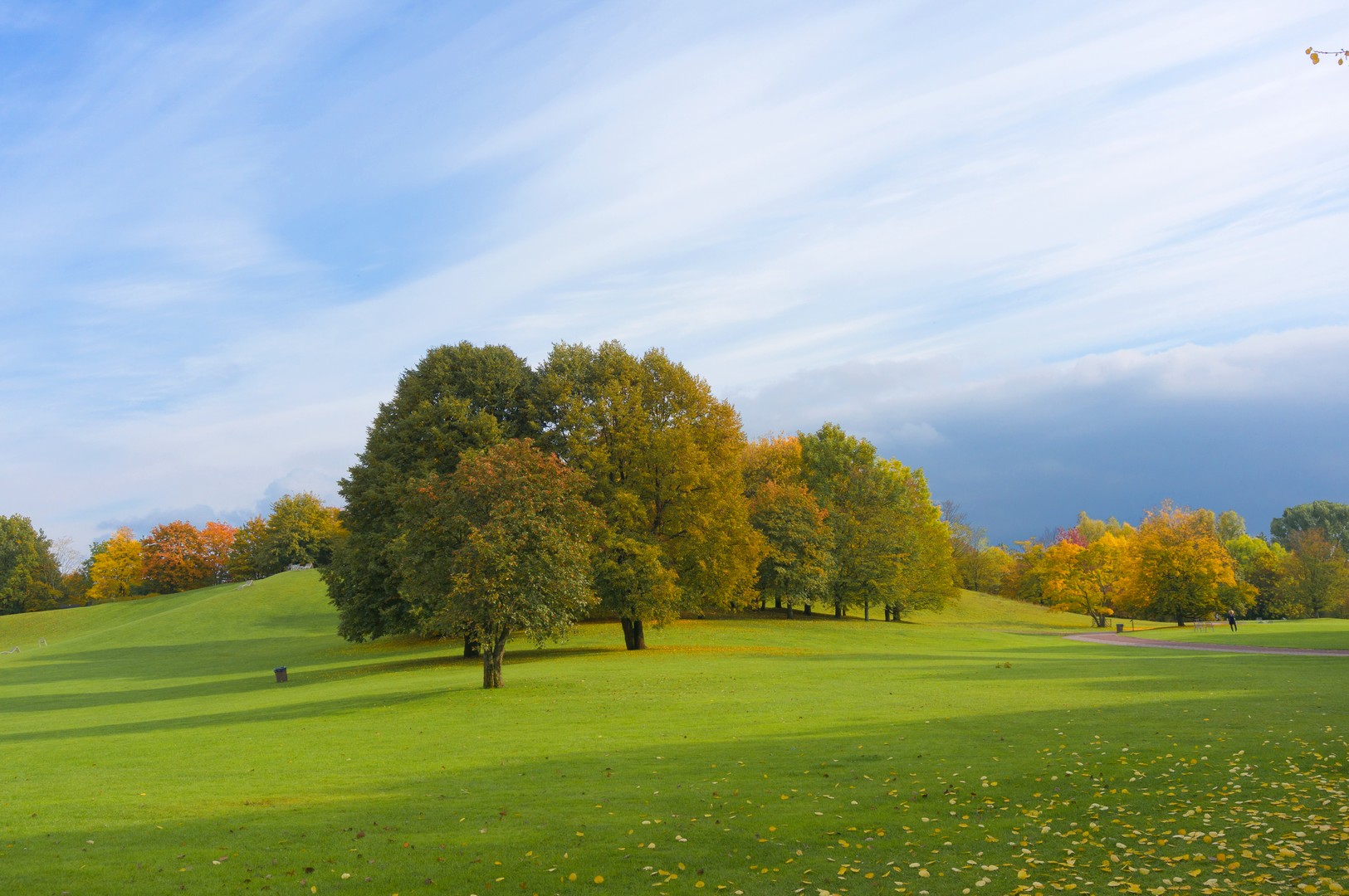 Herbstsonne im Britzer Park