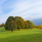 Herbstsonne im Britzer Park