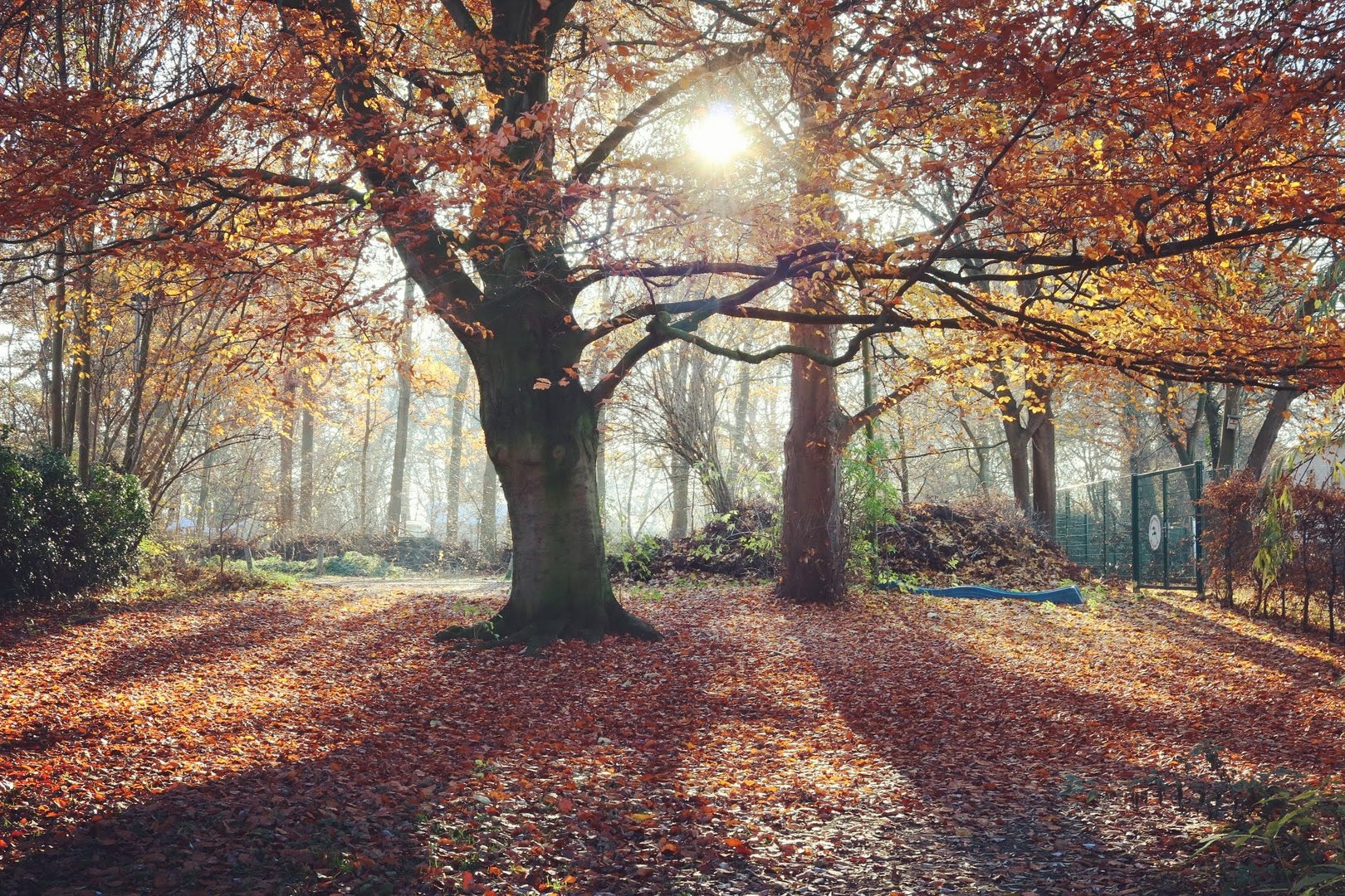 Herbstsonne im Kleingartengebiet Stadtwerder, Bremen