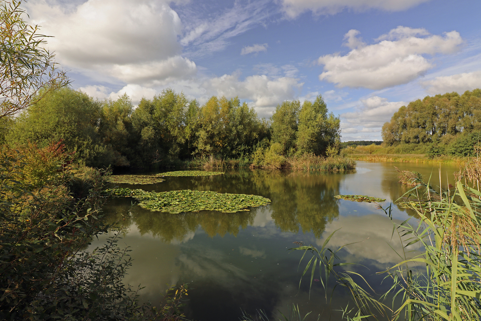 Herbstsonne im Lammer Bruch