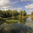 Herbstsonne im Lammer Bruch