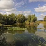 Herbstsonne im Lammer Bruch