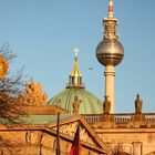 Herbstsonne im Lichtspiel