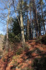 Herbstsonne im Mühltal