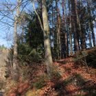 Herbstsonne im Mühltal