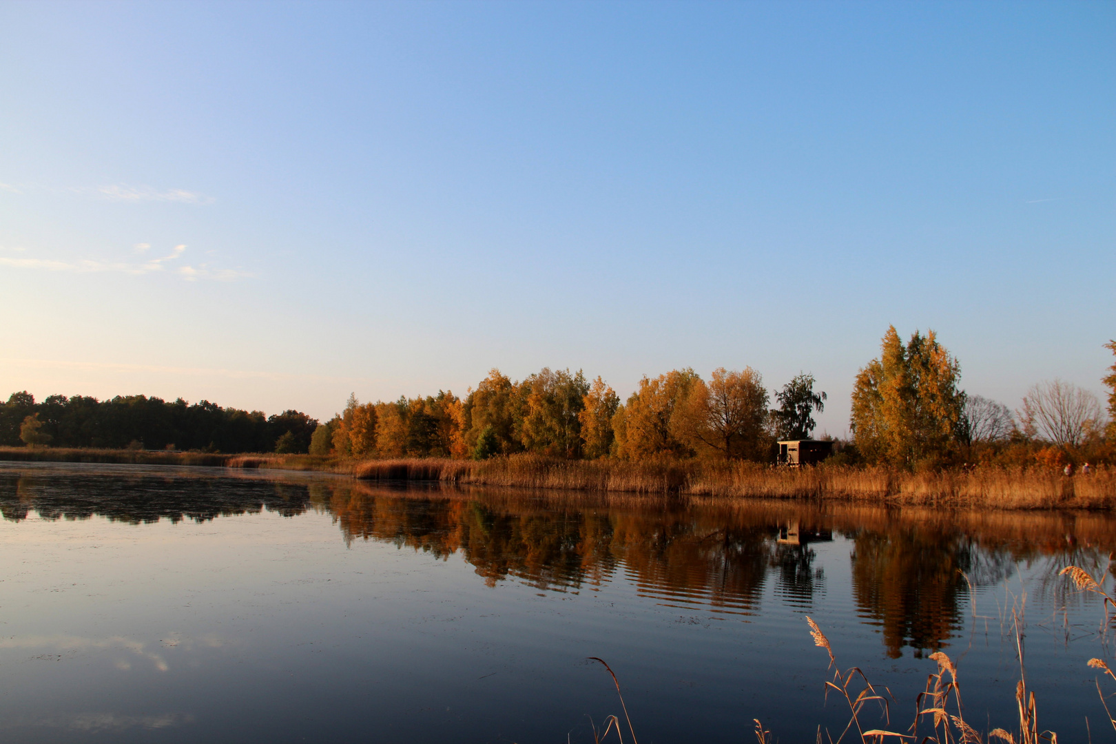 Herbstsonne im Naturschutzgebiet