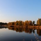 Herbstsonne im Naturschutzgebiet