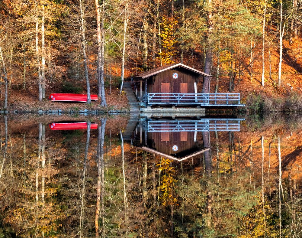 Herbstsonne im November